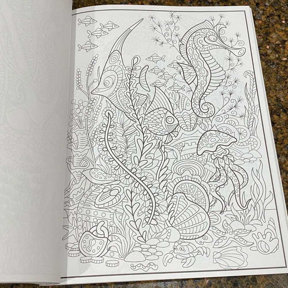 Splash Of Color Adult Coloring Book - Picture 7 of 11